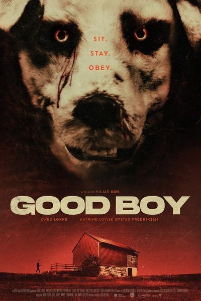 Caratula, cartel, poster o portada de Good Boy