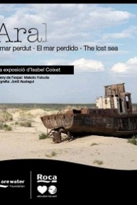 Cubierta de Aral, el mar perdido