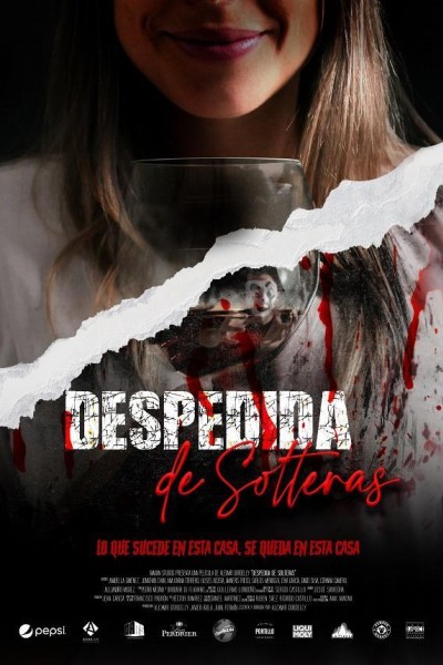 Caratula, cartel, poster o portada de Despedida de solteras