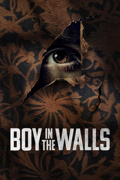 Caratula, cartel, poster o portada de Boy in the Walls