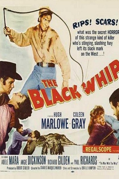 Caratula, cartel, poster o portada de The Black Whip