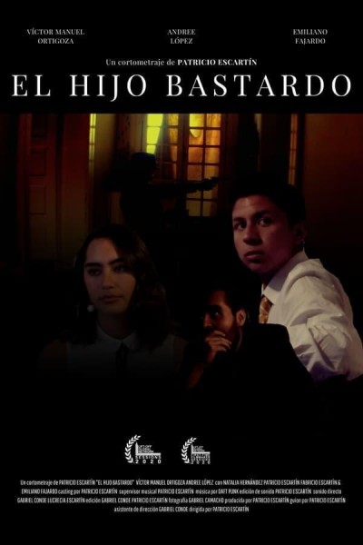 Caratula, cartel, poster o portada de El hijo bastardo