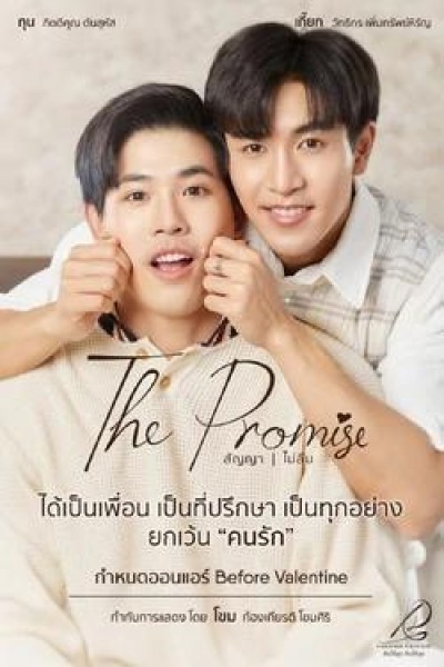 Caratula, cartel, poster o portada de The Promise
