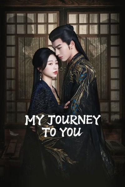 Caratula, cartel, poster o portada de My Journey to You