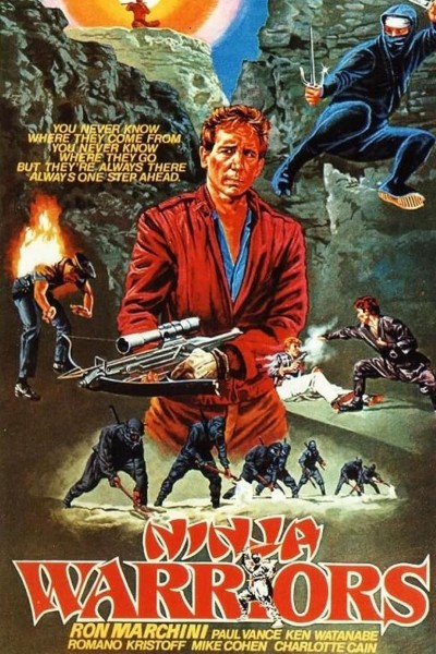 Caratula, cartel, poster o portada de Desafío de los ninjas