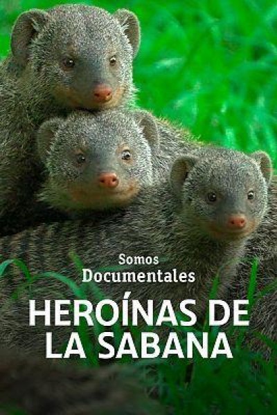 Cubierta de Heroínas de la sabana