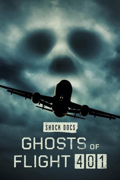 Caratula, cartel, poster o portada de Los fantasmas del vuelo 401
