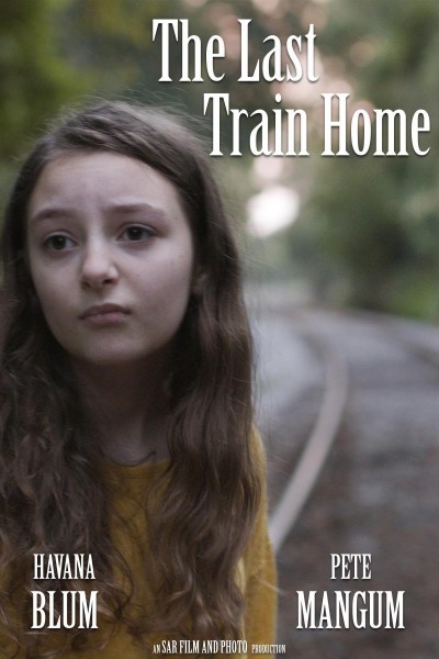 Caratula, cartel, poster o portada de The Last Train Home