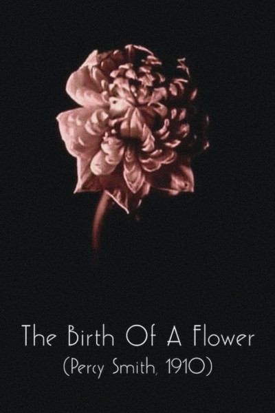 Cubierta de The Birth of a Flower