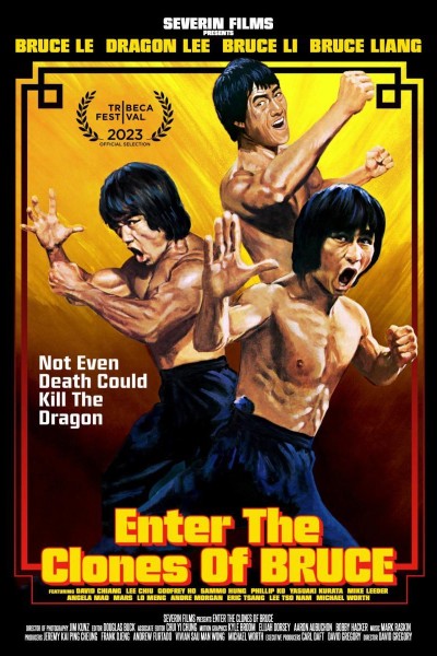 Caratula, cartel, poster o portada de Enter the Clones of Bruce