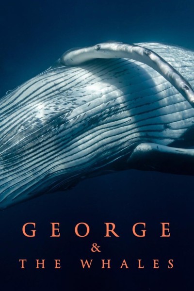 Cubierta de George & The Whales