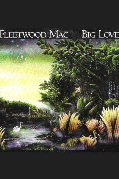 Cubierta de Fleetwood Mac: Big Love (Vídeo musical)