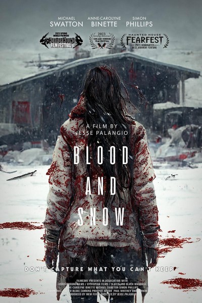 Caratula, cartel, poster o portada de Blood and Snow