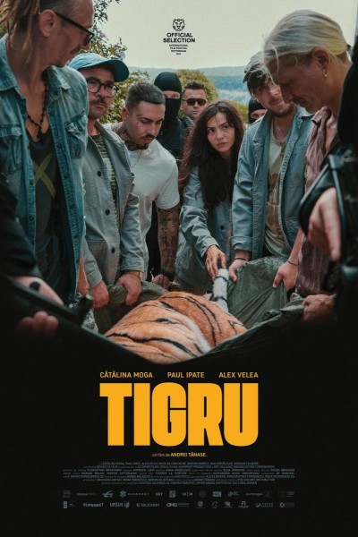 Caratula, cartel, poster o portada de Day of the Tiger