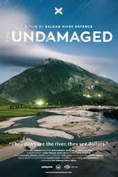 Caratula, cartel, poster o portada de The Undamaged