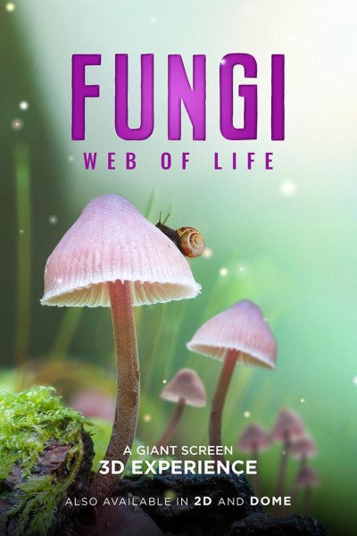 Caratula, cartel, poster o portada de Fungi: Web of Life