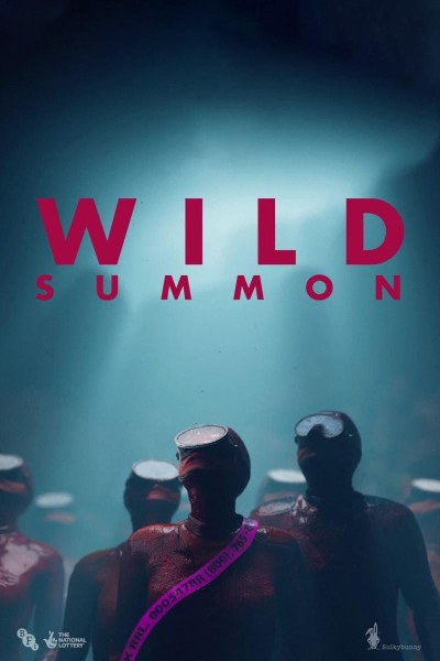 Caratula, cartel, poster o portada de Wild Summon