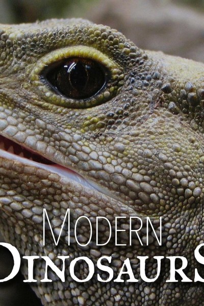Caratula, cartel, poster o portada de Dinosaurios Modernos