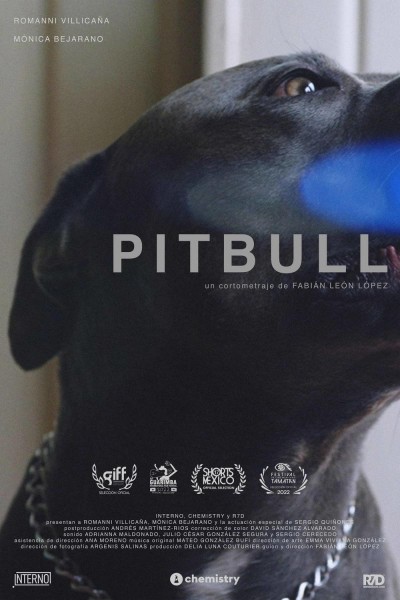 Caratula, cartel, poster o portada de Pitbull