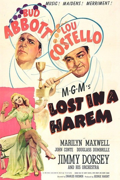 Caratula, cartel, poster o portada de Lost in a Harem