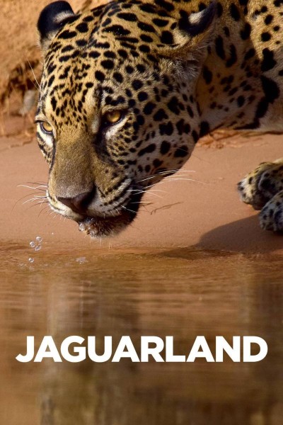 Caratula, cartel, poster o portada de La tierra del jaguar