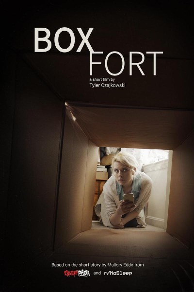 Caratula, cartel, poster o portada de Box Fort
