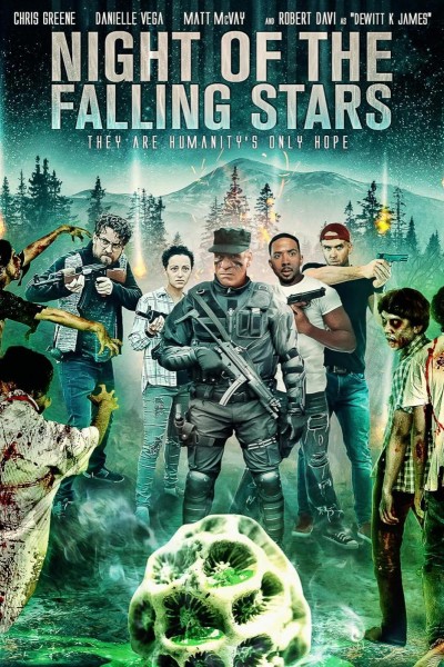 Caratula, cartel, poster o portada de Night of the Falling Stars