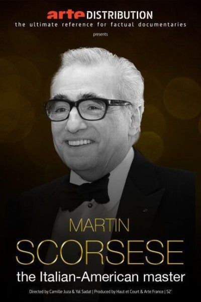 Caratula, cartel, poster o portada de Martin Scorsese: Hollywood a la italiana