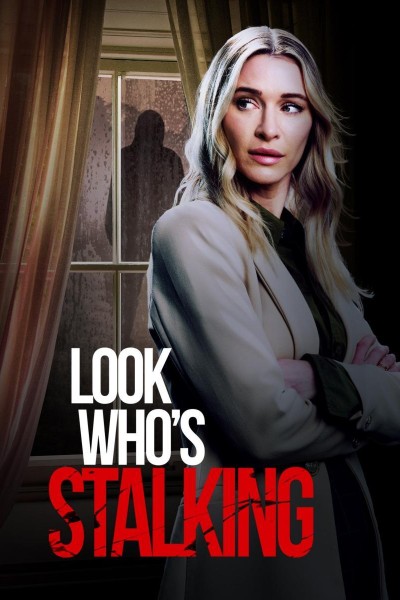 Caratula, cartel, poster o portada de Look Who\'s Stalking