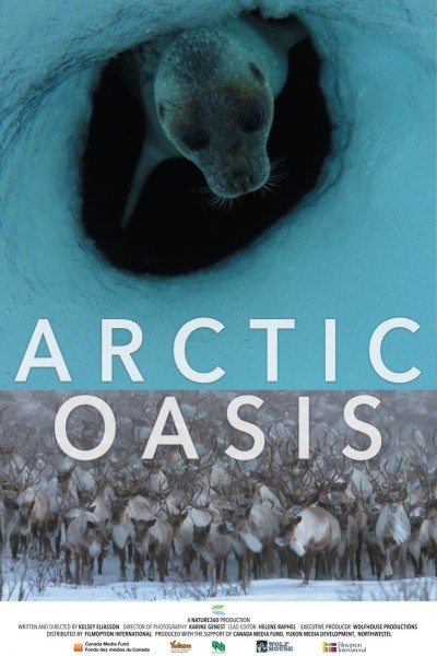 Caratula, cartel, poster o portada de El oasis del ártico