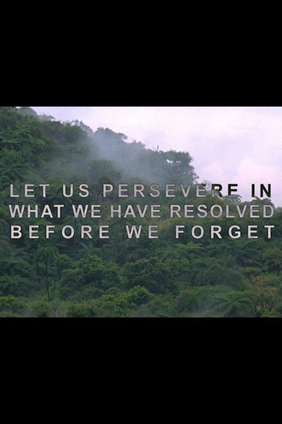 Cubierta de Let Us Persevere in What We Have Resolved Before We Forget