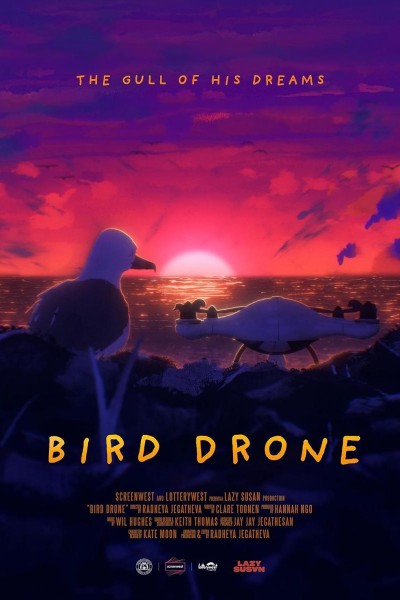 Caratula, cartel, poster o portada de Bird Drone