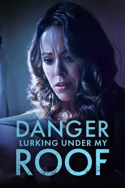 Caratula, cartel, poster o portada de Danger Lurking Under My Roof
