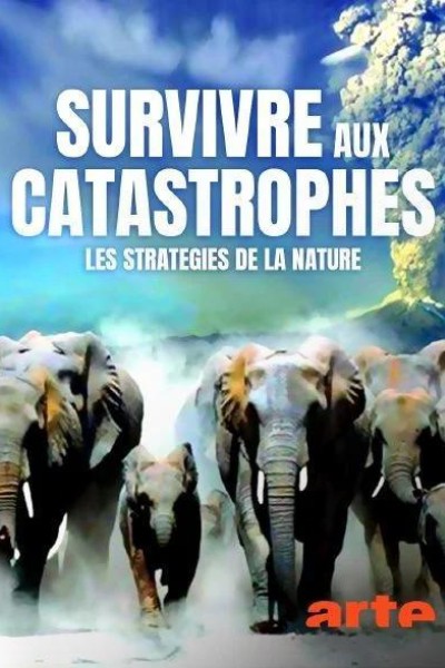 Caratula, cartel, poster o portada de Sobrevivir a las catástrofes. Las estrategias de la naturaleza