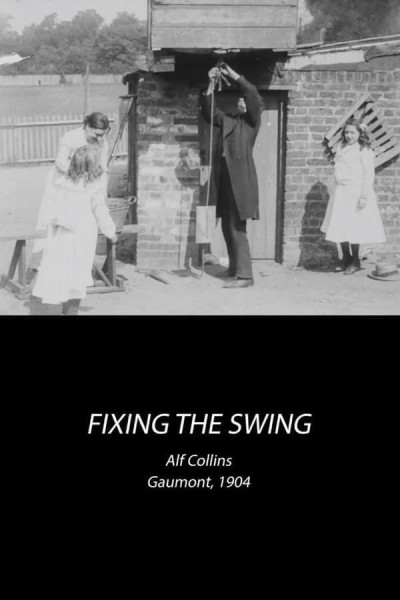 Cubierta de Fixing the Swing