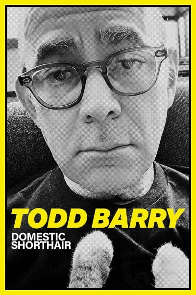 Caratula, cartel, poster o portada de Todd Barry: Domestic Shorthair