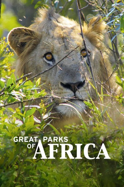 Caratula, cartel, poster o portada de Grandes parques naturales de África
