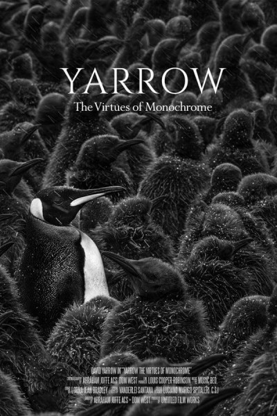 Cubierta de Yarrow: The Virtues of Monochrome