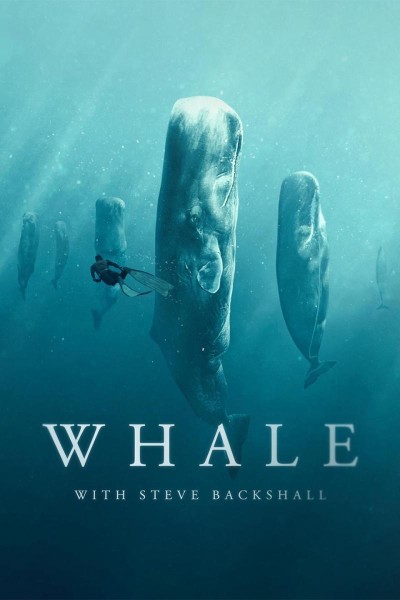 Caratula, cartel, poster o portada de Ballenas con Steve Backshall