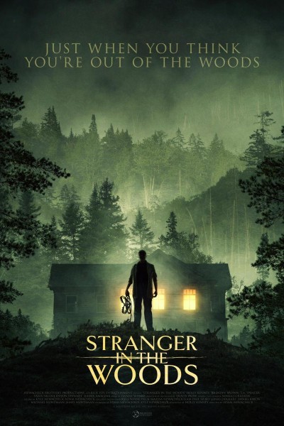 Caratula, cartel, poster o portada de Stranger in the Woods
