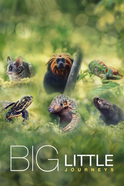 Caratula, cartel, poster o portada de Pequeños viajes animales