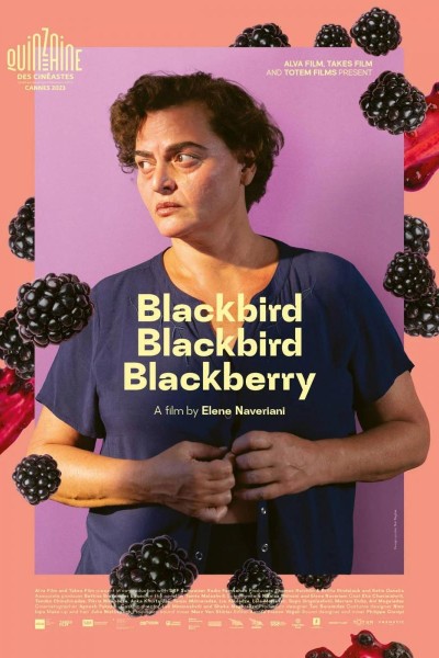 Caratula, cartel, poster o portada de Blackbird Blackbird Blackberry