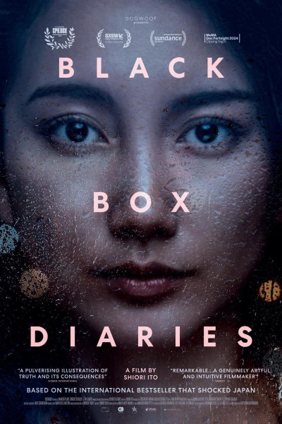 Caratula, cartel, poster o portada de Black Box Diaries