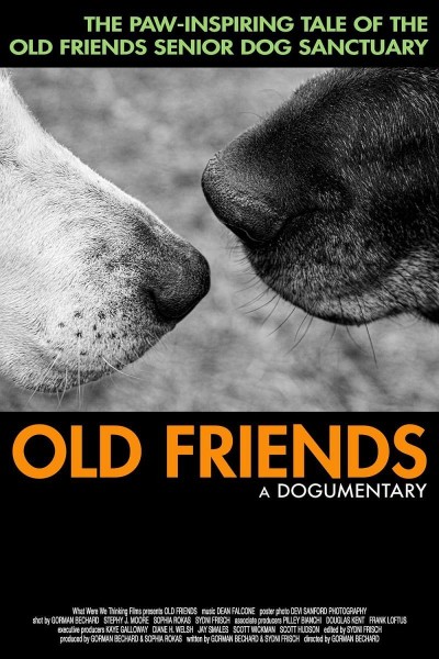 Caratula, cartel, poster o portada de Old Friends, A Dogumentary