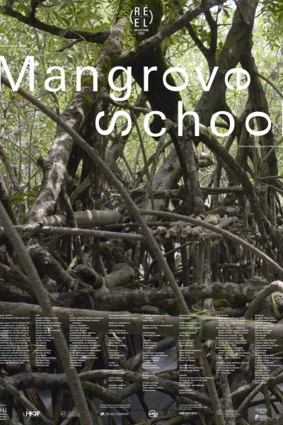 Cubierta de Mangrove School
