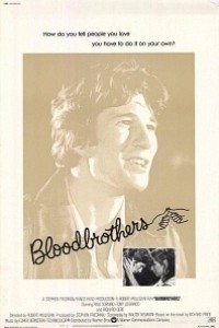 Caratula, cartel, poster o portada de Stony, sangre caliente