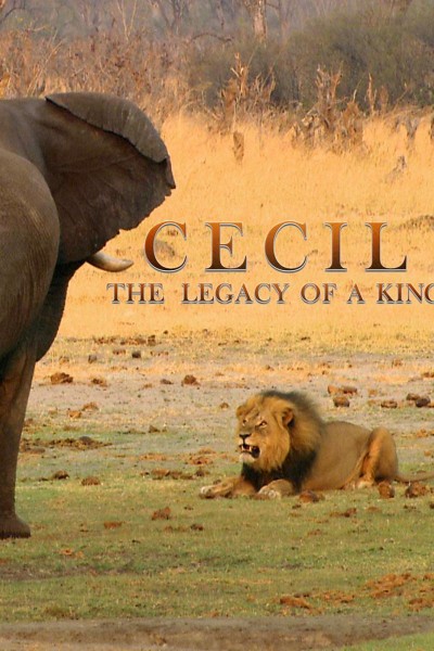 Caratula, cartel, poster o portada de Cecil: el legado de un rey