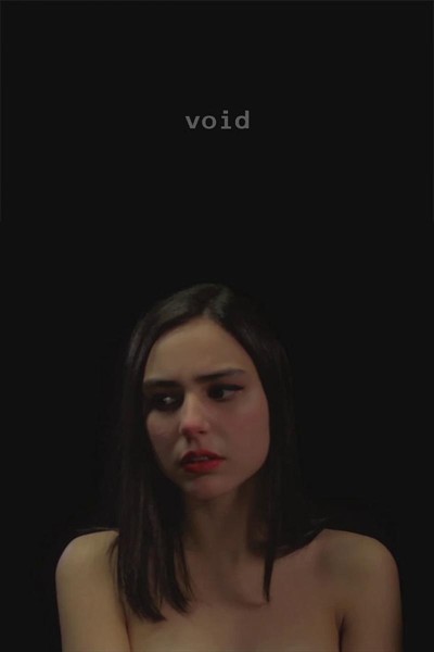 Caratula, cartel, poster o portada de Void