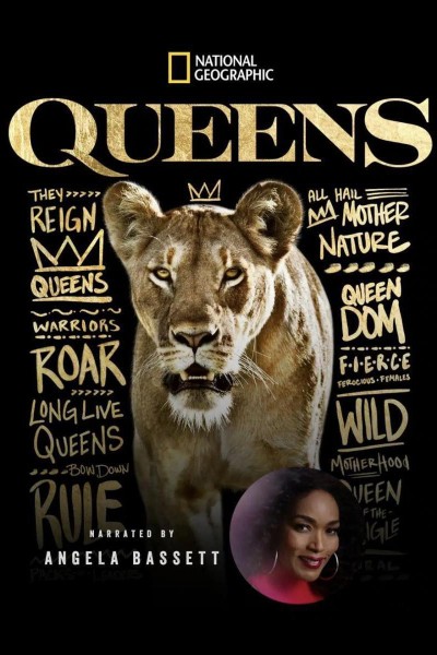 Caratula, cartel, poster o portada de Queens