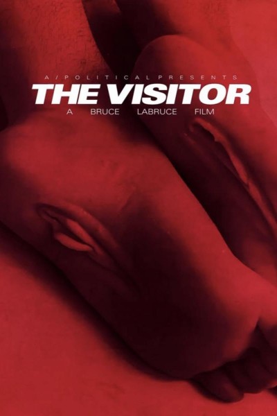 Caratula, cartel, poster o portada de The Visitor